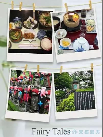 十五周年活動(dòng)月 | 天拓四方代表團(tuán)赴日考察